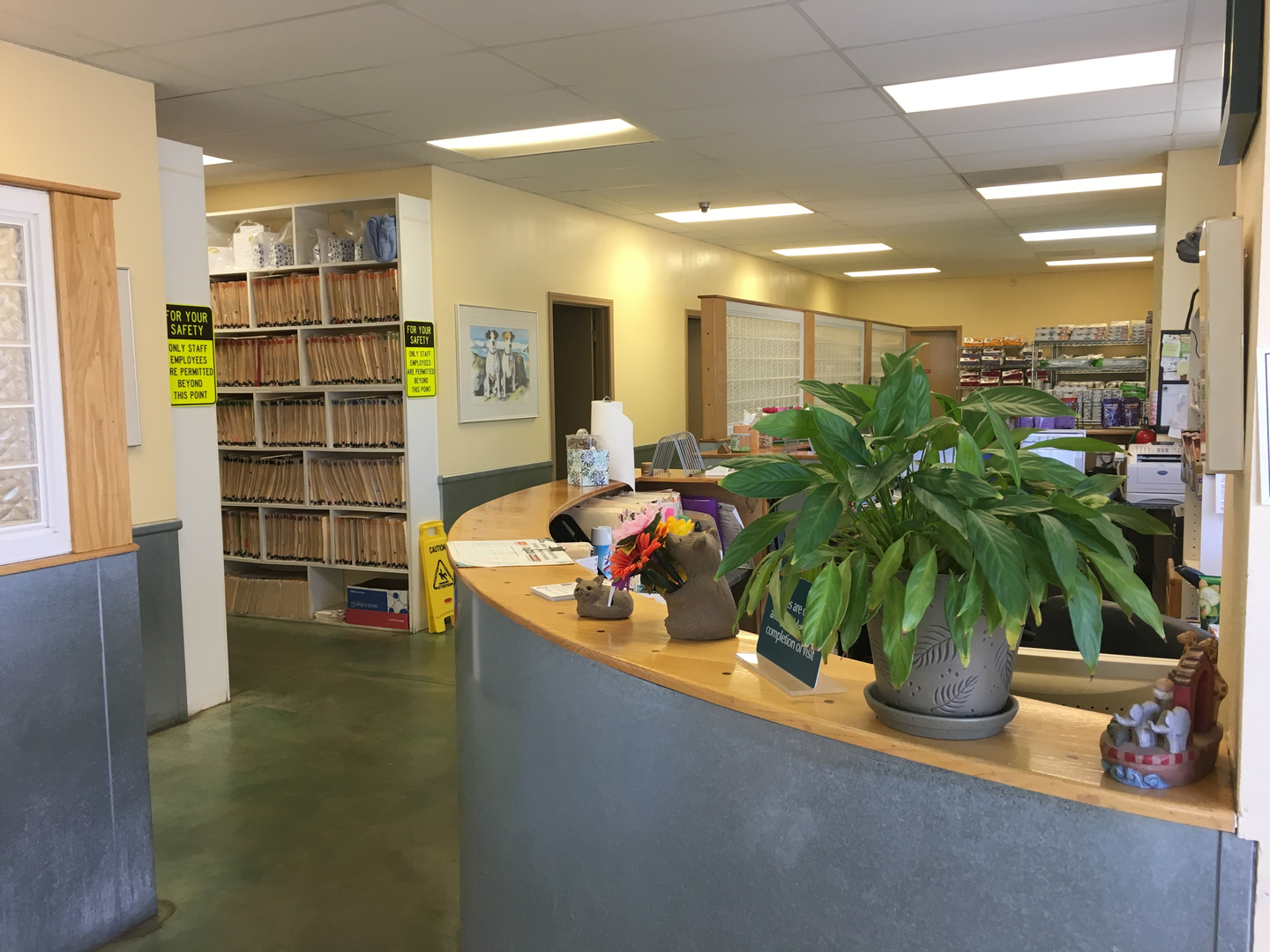 Our Hospital - All Creatures Veterinary Clinic - Fresno, CA